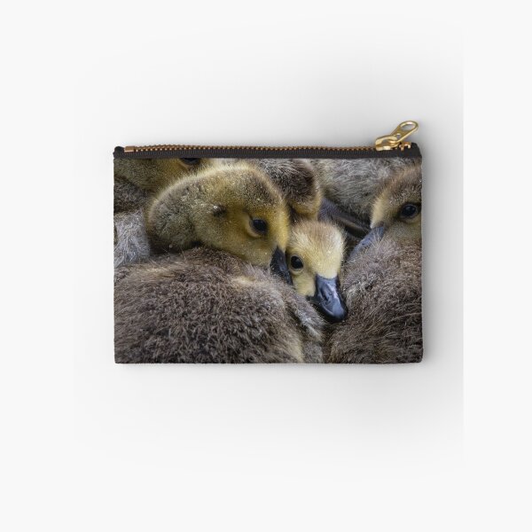 Item preview, Goslings designed and sold by Margriet Photography .