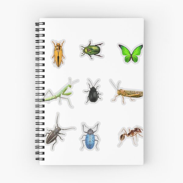 Item preview, Realistic Insects and Bugs Watercolor Sticker Pack designed and sold by KAWAII STUDIO NB.