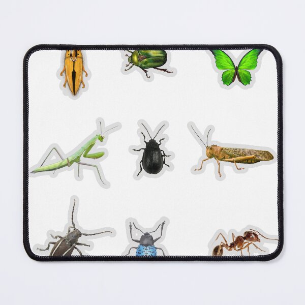 Item preview, Realistic Insects and Bugs Watercolor Sticker Pack designed and sold by KAWAII STUDIO NB.