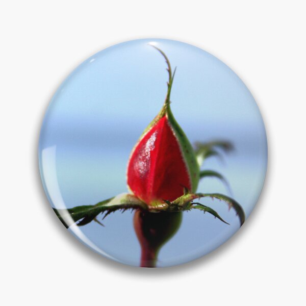 Item preview, Rose Bud Photography – Soft Blue Botanical Art designed and sold by Seeds of Wellness.