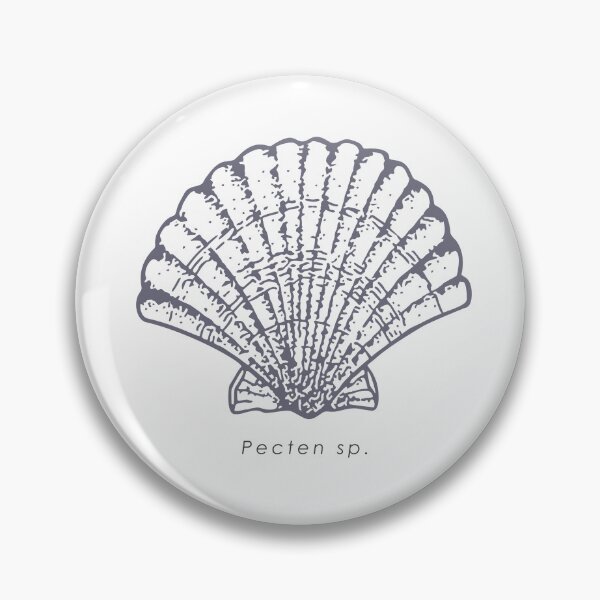 Item preview, Elegant realistic scallop (Pecten sp.) shell illustration designed and sold by N-art-halia.
