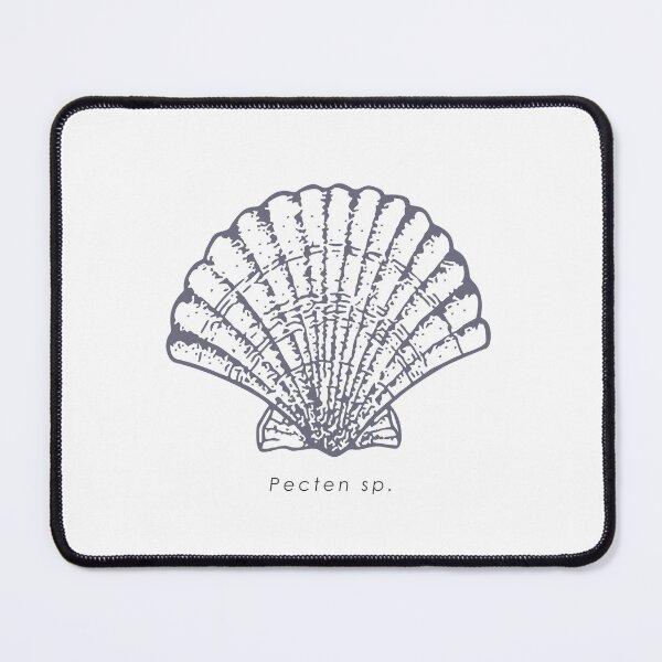Item preview, Elegant realistic scallop (Pecten sp.) shell illustration designed and sold by N-art-halia.