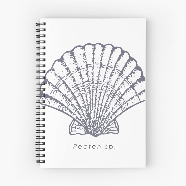 Item preview, Elegant realistic scallop (Pecten sp.) shell illustration designed and sold by N-art-halia.