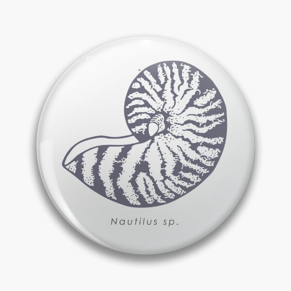 Item preview, Elegant realistic nautilus shell illustration designed and sold by N-art-halia.