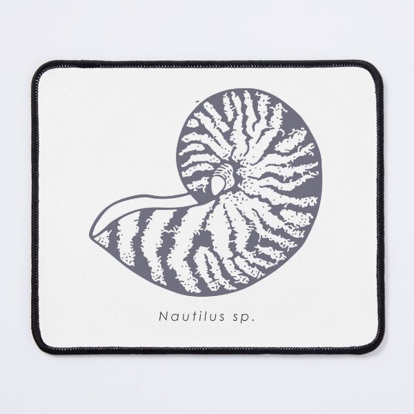 Item preview, Elegant realistic nautilus shell illustration designed and sold by N-art-halia.