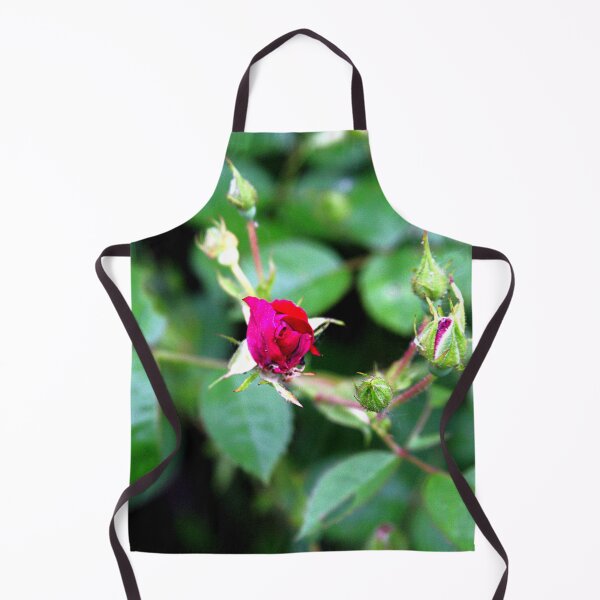 Item preview, Rose Bud Photography – Botanical Fine Art designed and sold by Seeds of Wellness.