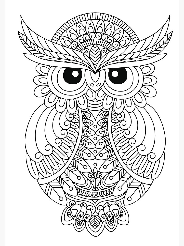 Large And Lovely Owl Designs: Fun And Simple Adult Coloring Book