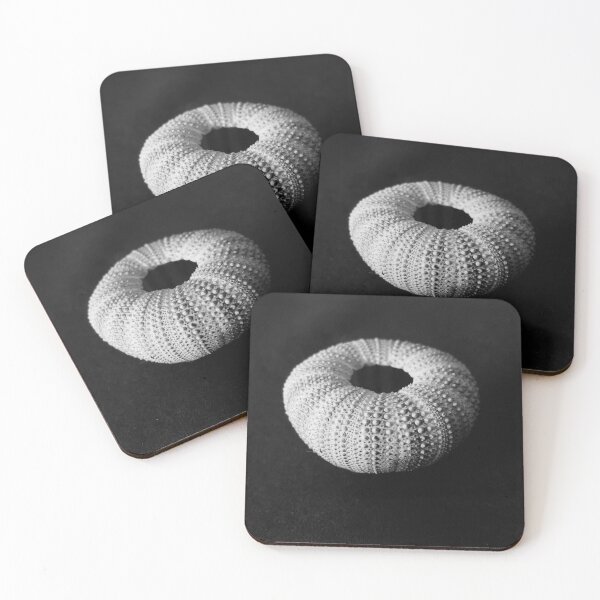 Item preview, Anemone sea urchin black and white photograph designed and sold by MineralPhotos.
