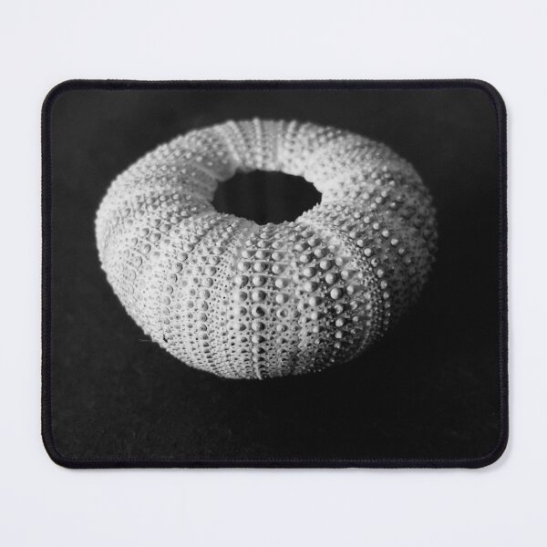 Item preview, Anemone sea urchin black and white photograph designed and sold by MineralPhotos.