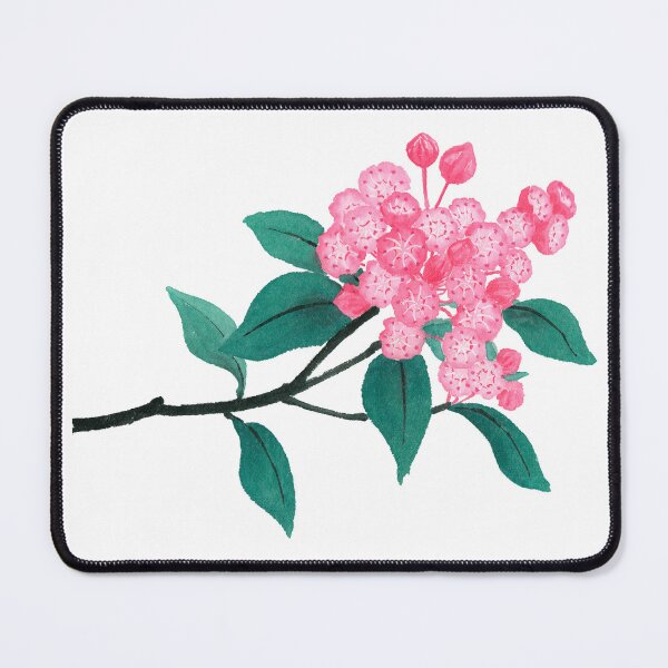 Item preview, February 20th birthday flower Kalmia designed and sold by birthflower.