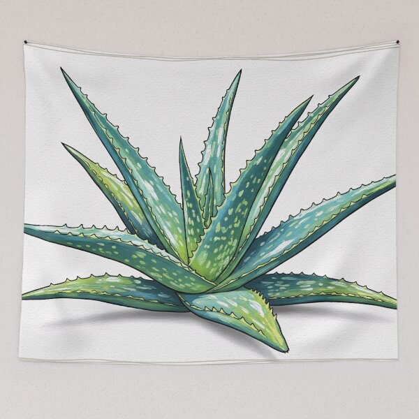 Item preview, Aloe Vera Botanical Watercolor designed and sold by PixorStudio.
