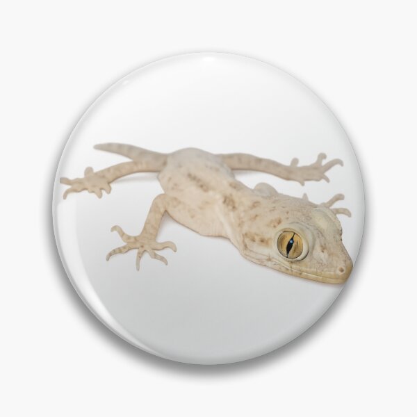 Item preview, Gecko designed and sold by POGs R Us.