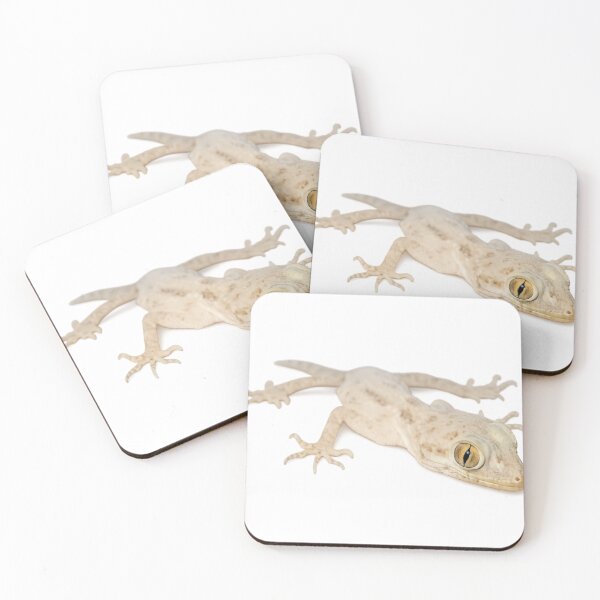 Item preview, Gecko designed and sold by POGs R Us.
