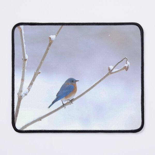 Item preview, Bluebird Lookout designed and sold by Illuminations of Nature.