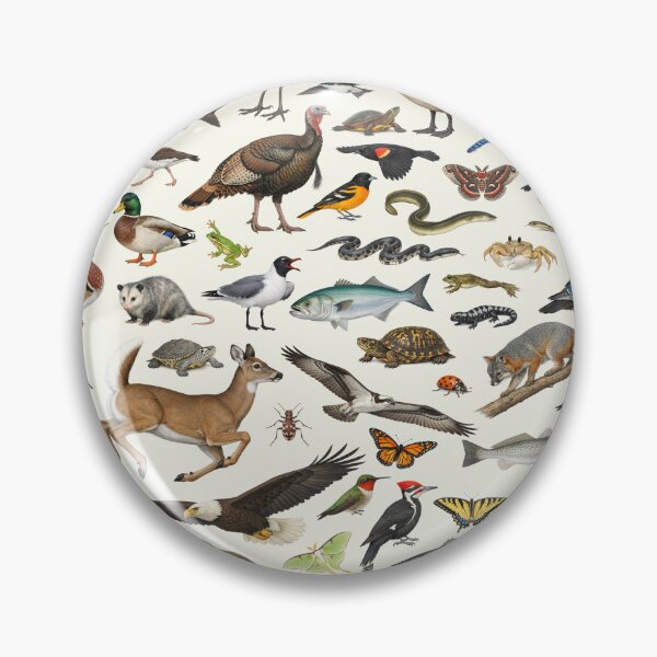 Item preview, Animals of Delaware Retro Style Identification Chart designed and sold by kakarikihill.