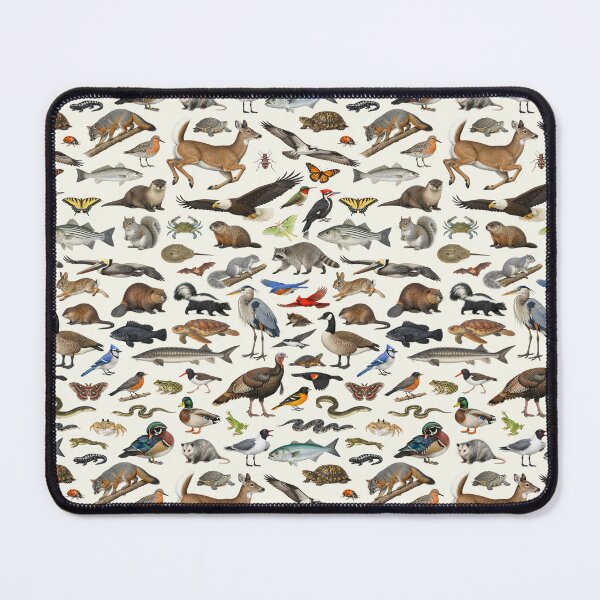 Item preview, Animals of Delaware Retro Style Identification Chart designed and sold by kakarikihill.