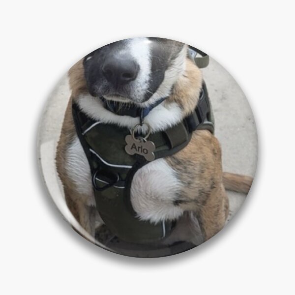 Item preview, Arlo designed and sold by MilkANoob.