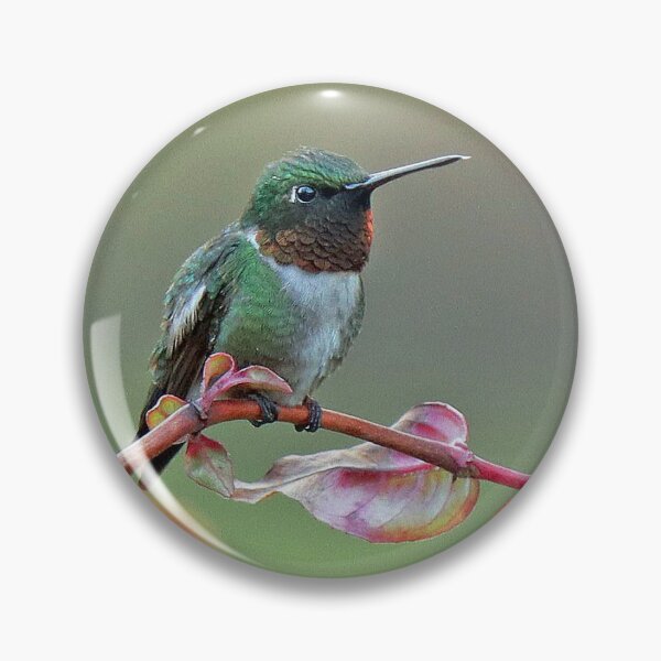 Item preview, Hummingbird on Fuscia Plant designed and sold by Illuminations of Nature.