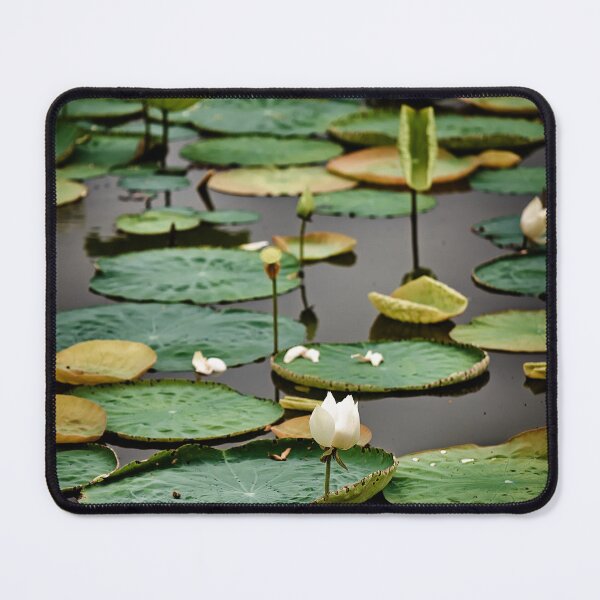 Item preview, A peaceful pond covered with floating lotus flowers designed and sold by franck380.