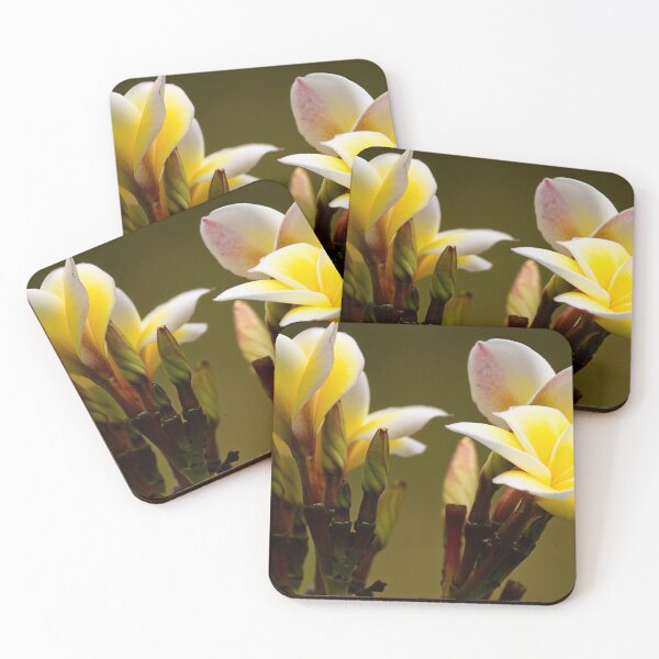 Item preview, The natural elegance of frangipani flowers designed and sold by franck380.