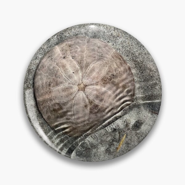 Item preview, Sand dollar in the tide designed and sold by Illuminations of Nature.