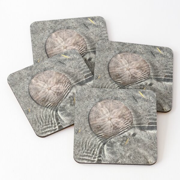 Item preview, Sand dollar in the tide designed and sold by Illuminations of Nature.