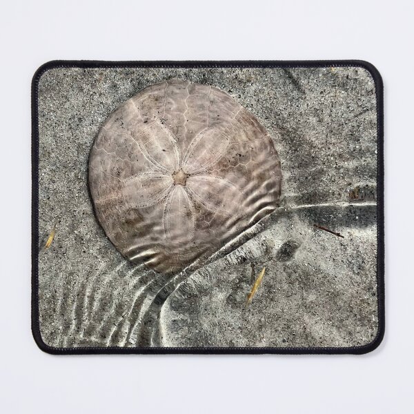 Item preview, Sand dollar in the tide designed and sold by Illuminations of Nature.