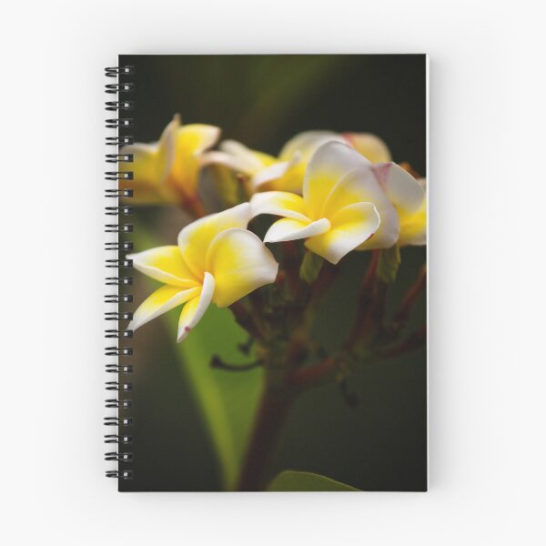 Item preview, Delicate tropical flowers in luminous hues designed and sold by franck380.