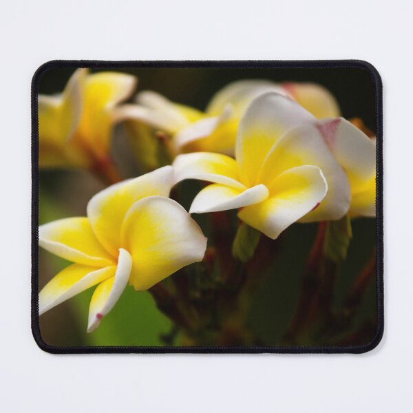 Item preview, Delicate tropical flowers in luminous hues designed and sold by franck380.