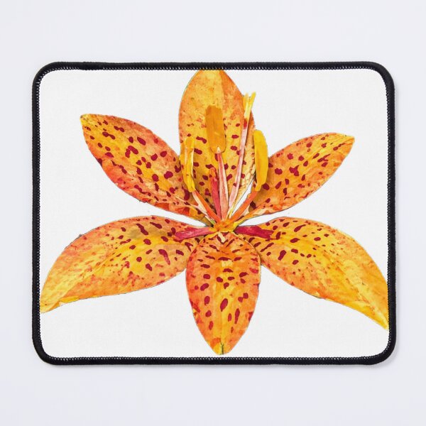 Item preview, Blackberry Lily, Detailed Flower, Papercut Collage Illustration designed and sold by SWSandraWechner.