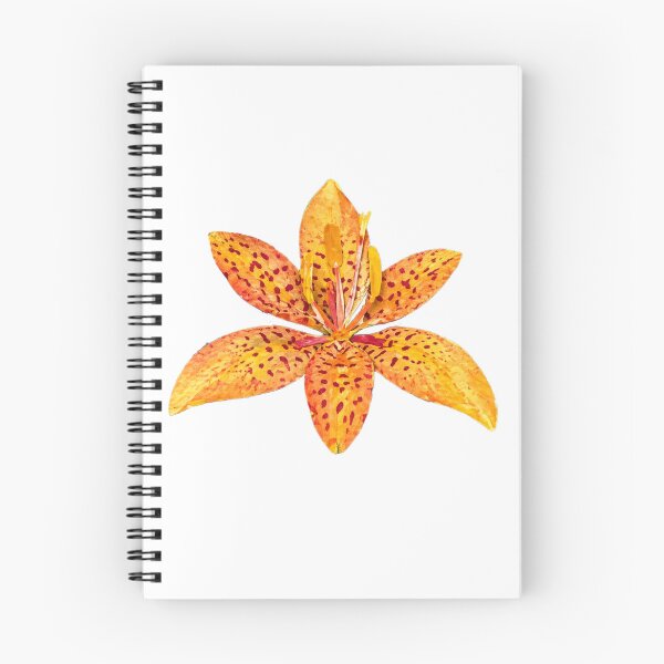 Item preview, Blackberry Lily, Detailed Flower, Papercut Collage Illustration designed and sold by SWSandraWechner.