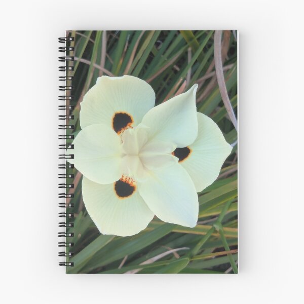 Item preview, Yellow African Iris Flower with Dark Spots designed and sold by gaohao1.