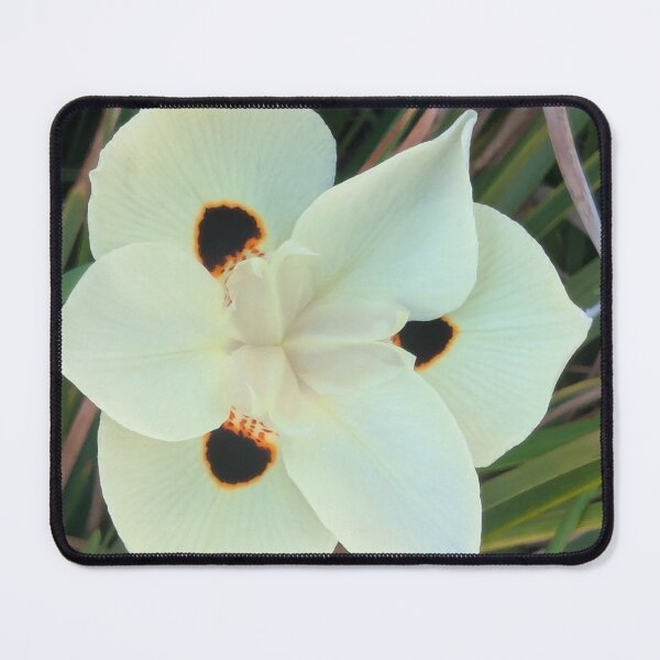 Item preview, Yellow African Iris Flower with Dark Spots designed and sold by gaohao1.