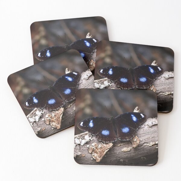 Item preview, Butterfly with dark wings and blue spots designed and sold by franck380.