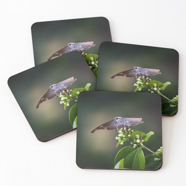 Item preview, Delicate butterfly on a tropical green stem designed and sold by franck380.