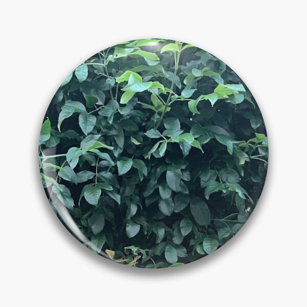 Item preview, Wall of Trees and Vines designed and sold by Amanda1775.