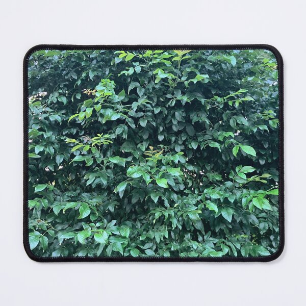 Item preview, Wall of Trees and Vines designed and sold by Amanda1775.