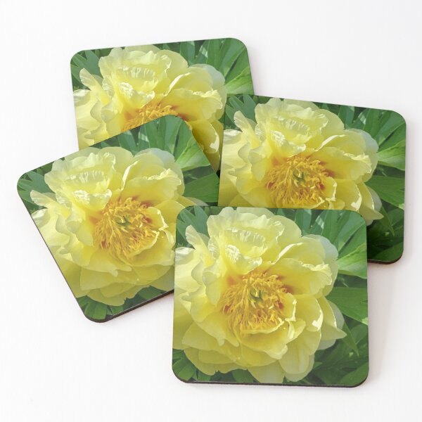 Item preview, Yellow Peony Bloom | EDINSTEPPE Collection designed and sold by E D I N S T E P P E.