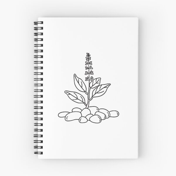Item preview, Tulsi Plant Encircled by Decorative Pebbles designed and sold by rasagamastore.