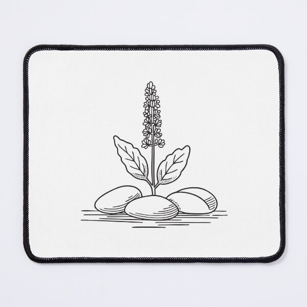 Item preview, Tulsi Plant with Pebble Ground Cover designed and sold by rasagamastore.