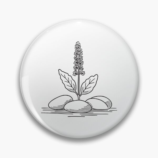 Item preview, Tulsi Plant with Pebble Ground Cover designed and sold by rasagamastore.