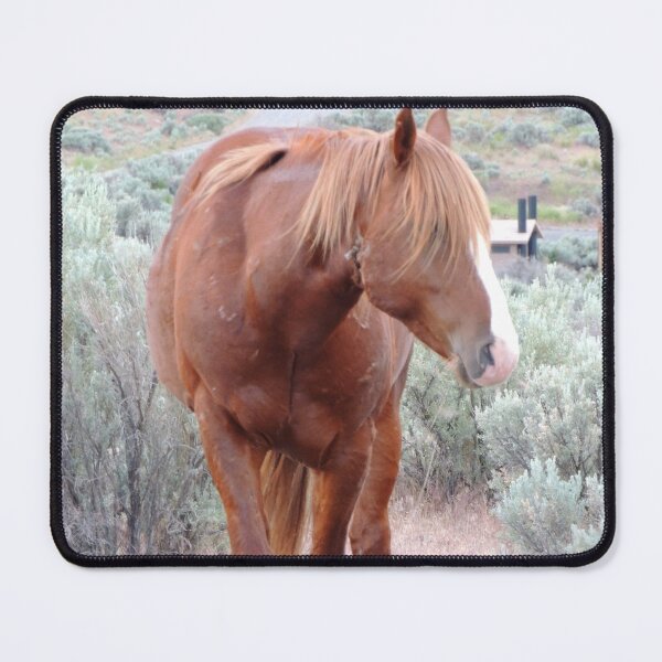 Item preview, Wild Chestnut Horse designed and sold by Robert Ball.