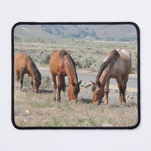 Item preview, Three Wild Horses designed and sold by Robert Ball.