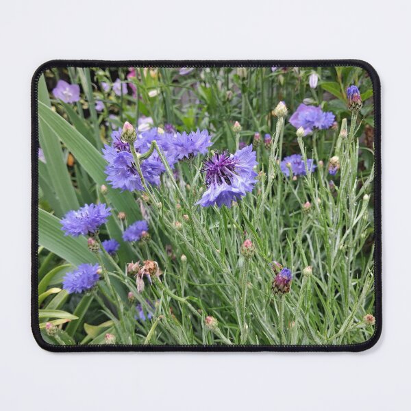 Item preview, Cornflowers designed and sold by wiggyofipswich.