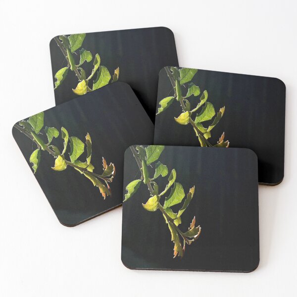 Item preview, Sun-kissed leaves designed and sold by Baulmonart.