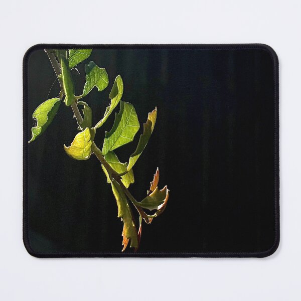 Item preview, Sun-kissed leaves designed and sold by Baulmonart.