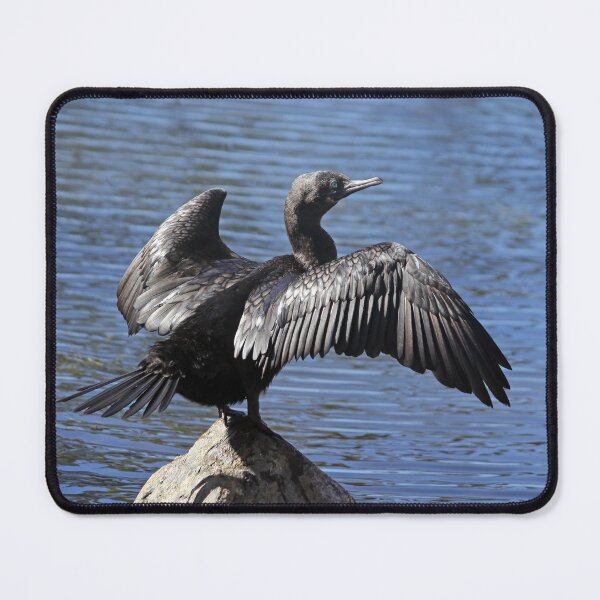 Item preview, Little Black Cormorant Drying Wings on a Rock designed and sold by 27Tammy27.