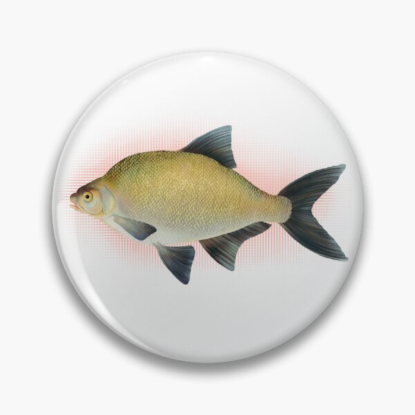 Item preview, Common Bream Illustration | UK Freshwater Fish designed and sold by ByLeesh.