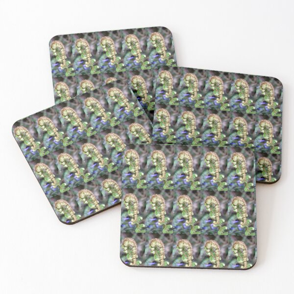 Item preview, fern designed and sold by KathleenDawson.