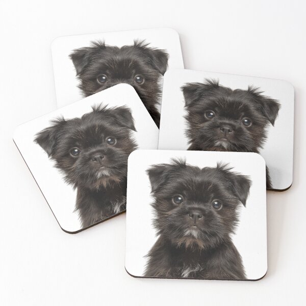 Item preview, Adorable Affenpinscher puppy for Cute Affie puppy lovers designed and sold by LazyOwlStore.